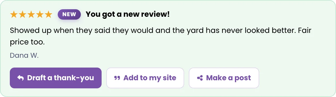 The review radar section tracking new Google reviews
