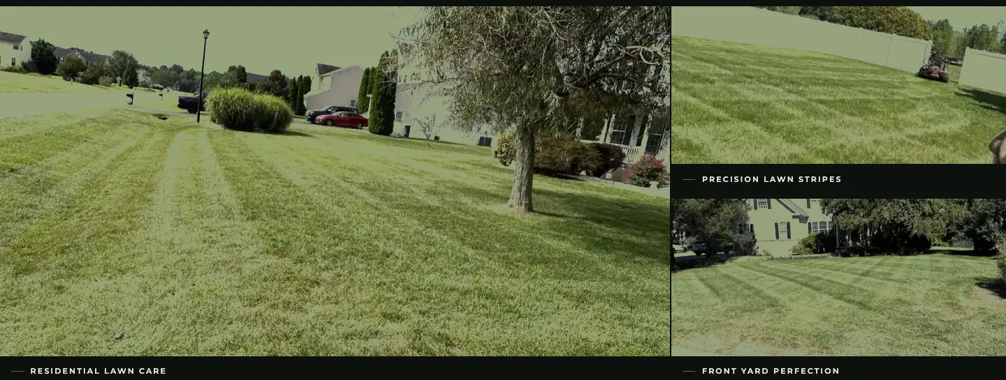 Photo gallery of real Grass Goats lawn care jobs