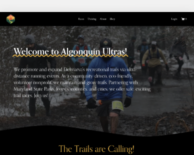 Website preview