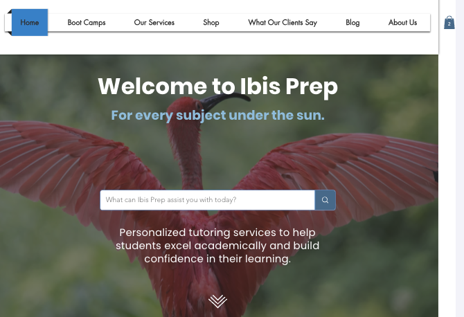 Ibis Prep website home page screenshot