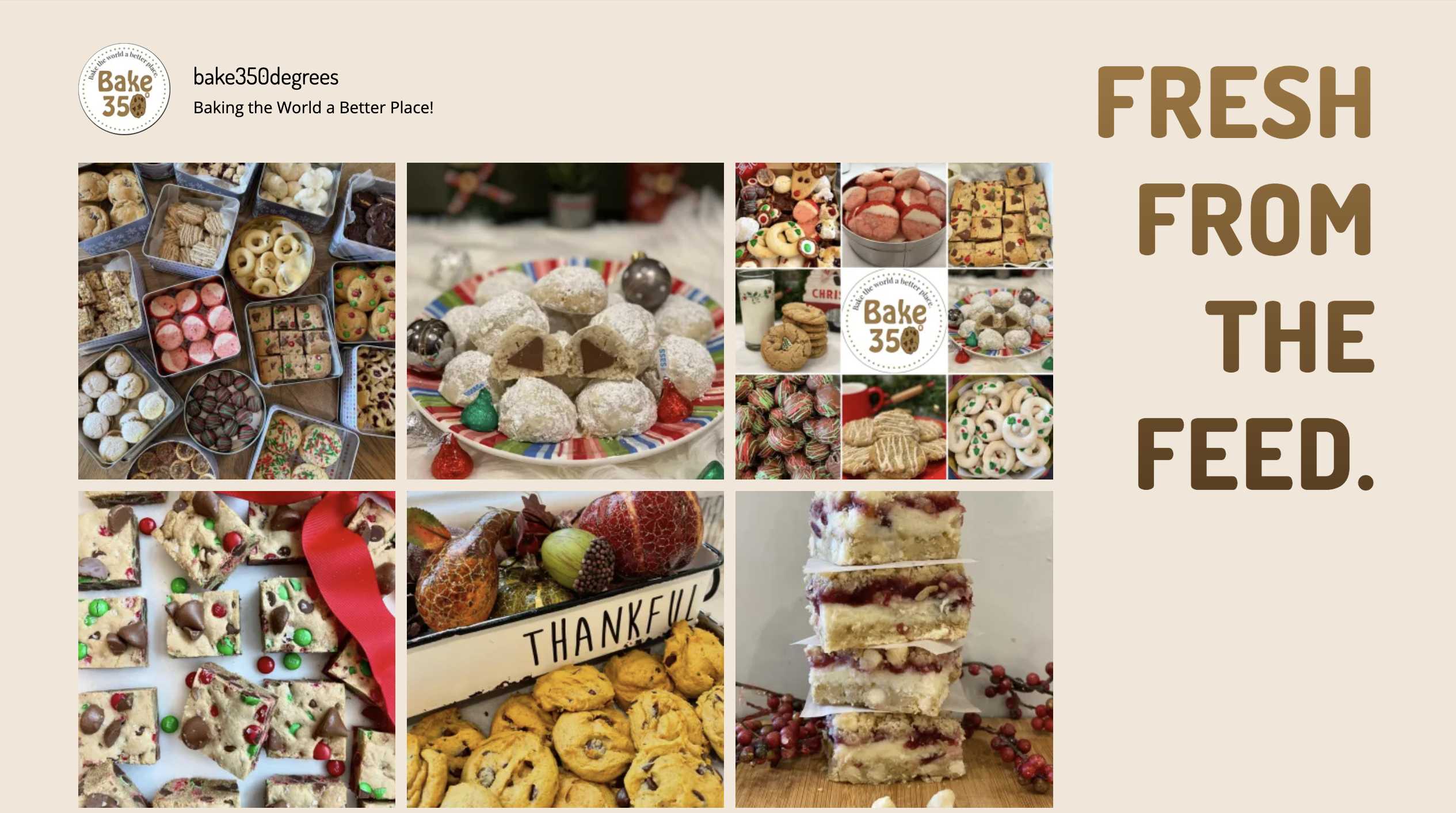 Bake 350 Degrees website example